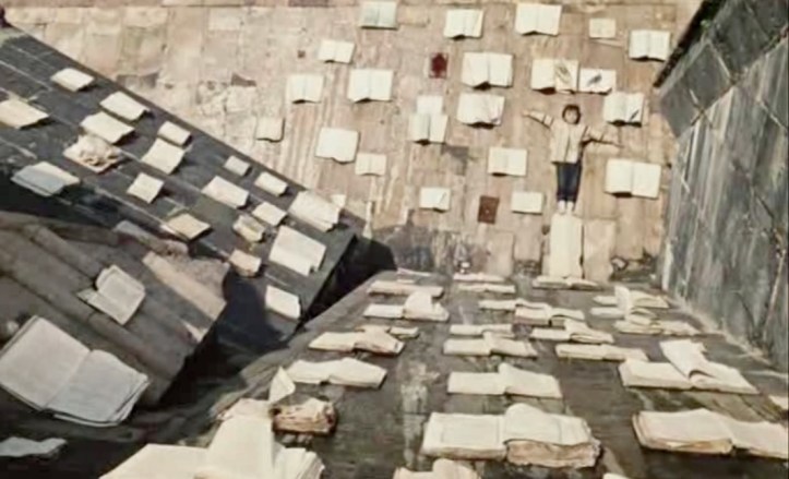 Il colore del melograno